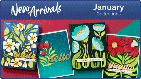 January 2024 New Arrivals