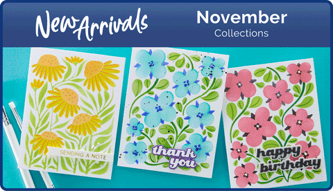 November 2023 New Arrivals