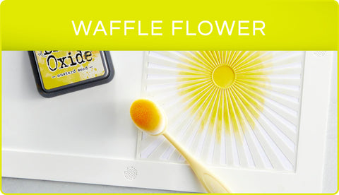 Waffle Flower