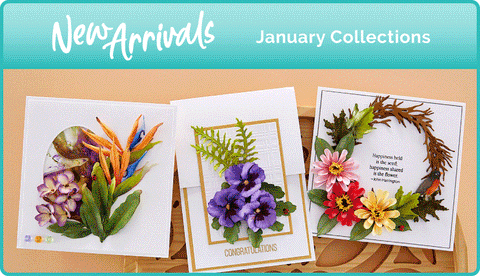 January 2023 New Arrivals