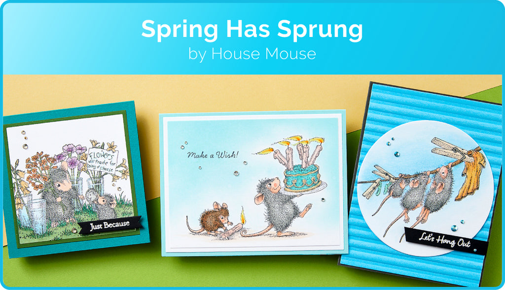 Spring has Sprung by House Mouse