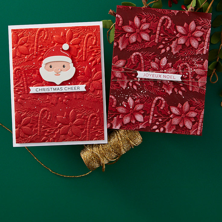 3D EMBOSSING FOLDER OF THE MONTH MEMBERSHIP 3D EMBOSSING FOLDER OF THE MONTH MEMBERSHIP