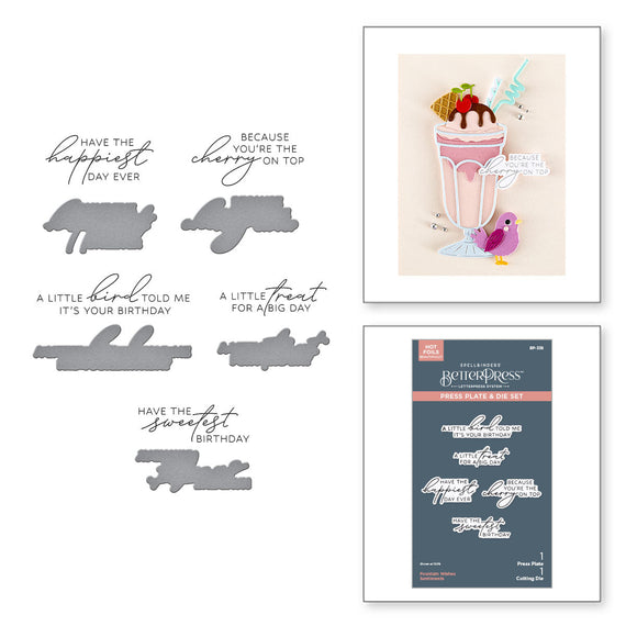 Fountain Wishes Sentiments BetterPress Plate & Die Set