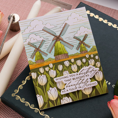 Yana's Tulips Collection by Yana Smakula