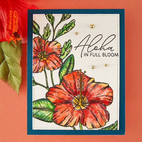 Hibiscus Bloom - Press & Foil Plate of the Month