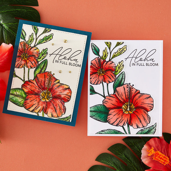 Press & Foil of the Month Membership