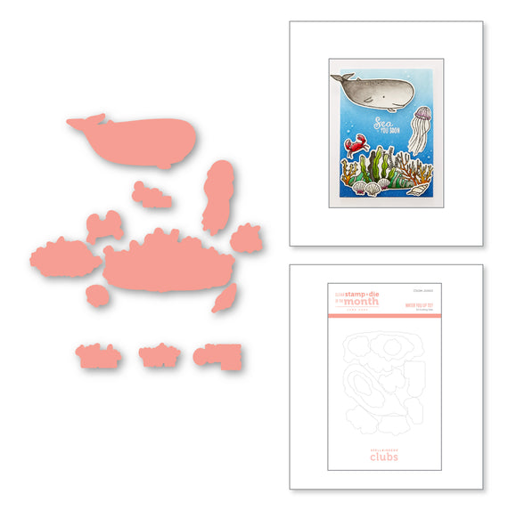 Water You Up To? Die Set - (Dies Only) Coordinates with Clear Stamp of the Month