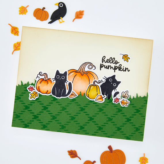 Hide and Peek Stamp & Cut