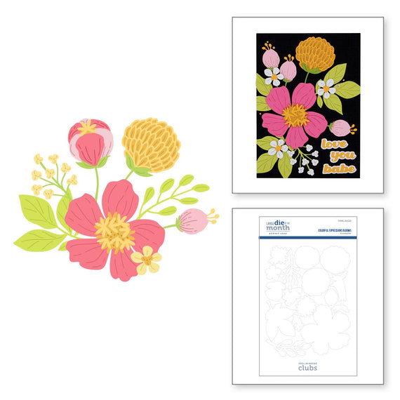 Colorful Expressions Blooms - Large Die of the Month