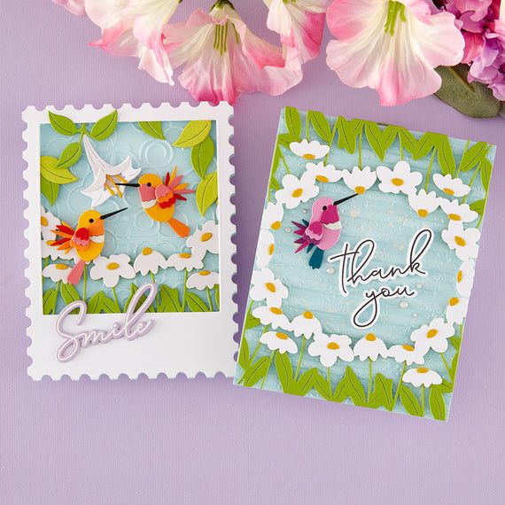 Large Die of the Month Membership