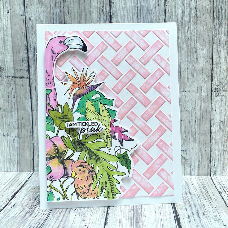 EMBOSSING FOLDER OF THE MONTH MEMBERSHIP (2D) EMBOSSING FOLDER OF THE MONTH MEMBERSHIP (2D)