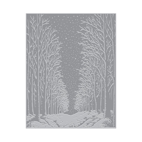Hero Arts Snowy Night BetterPress + Foil Plate