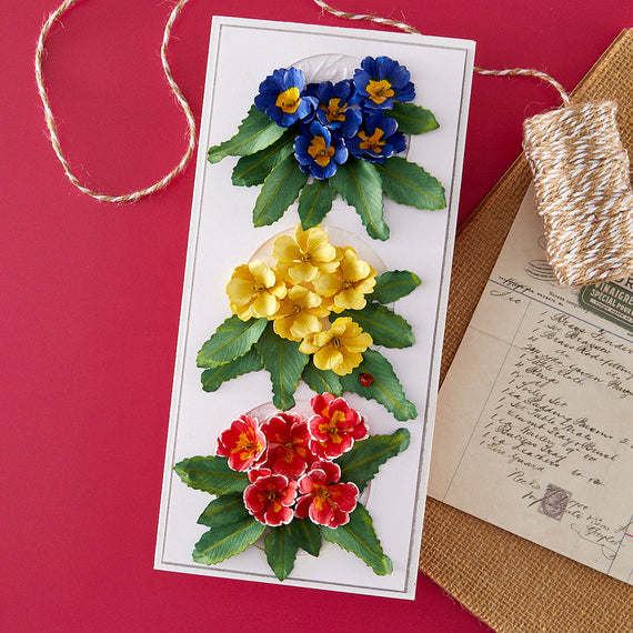 Primrose Etched Dies by Susan Tierney-Cockburn