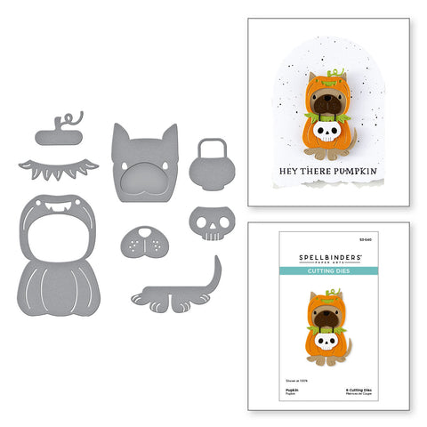 August 2025 New Arrivals