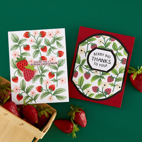 Shop by Spellbinders