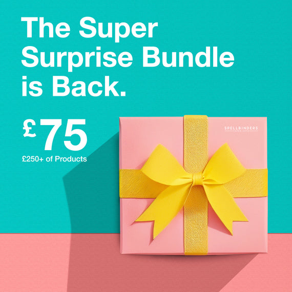 NEW Super Surprise Box