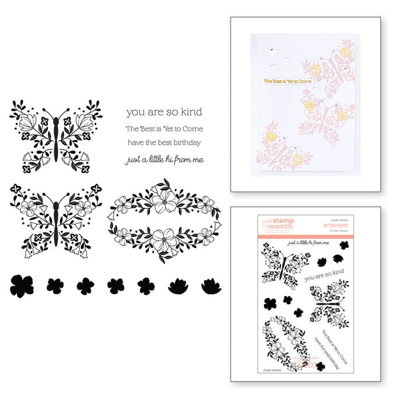 Butterfly Burst- Clear Stamp of the Month