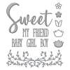 My Sweet Friend Etched Dies from The Right Words Collection by Becca Feeken (S5-512) colorization.